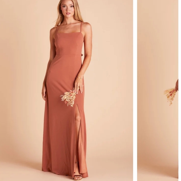 Birdy Grey Terracotta Benny Dress Crepe - Picture 4 of 5